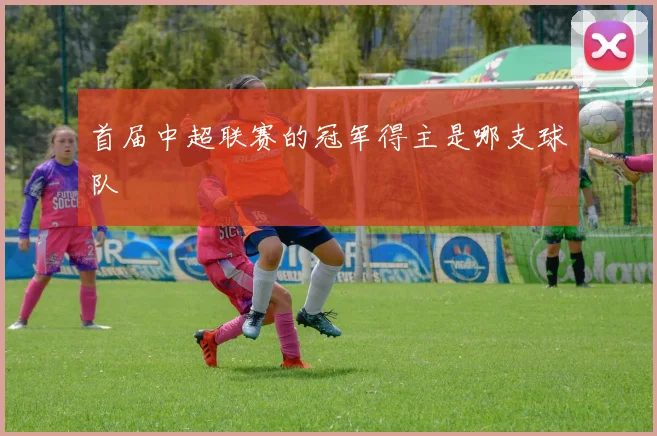 首届中超联赛的冠军得主是哪支球队