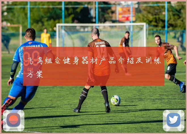 飞鸟组合健身器材产品介绍及训练方案